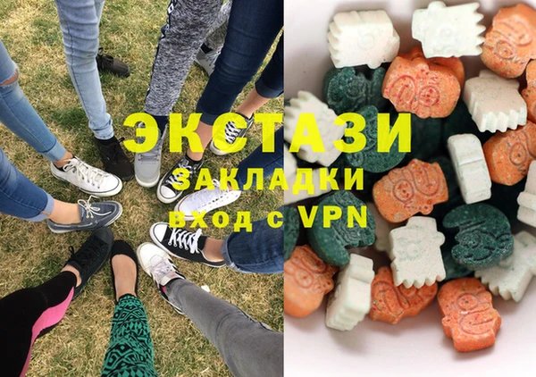шишки Надым