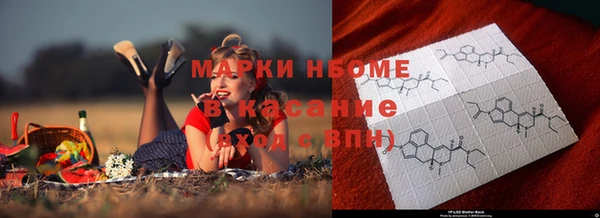 PSILOCYBIN Михайлов