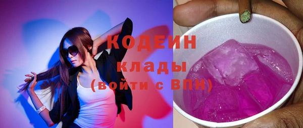 шишки Надым