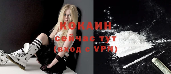 крисы Михайловск