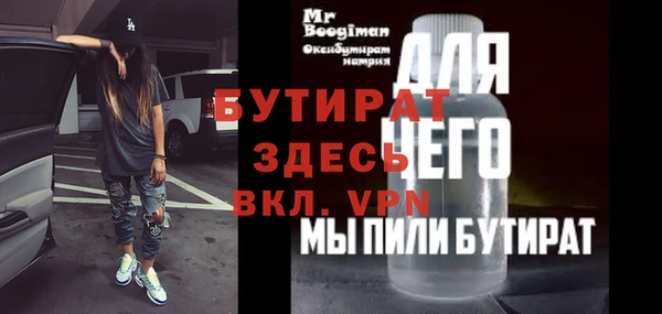 шишки Надым