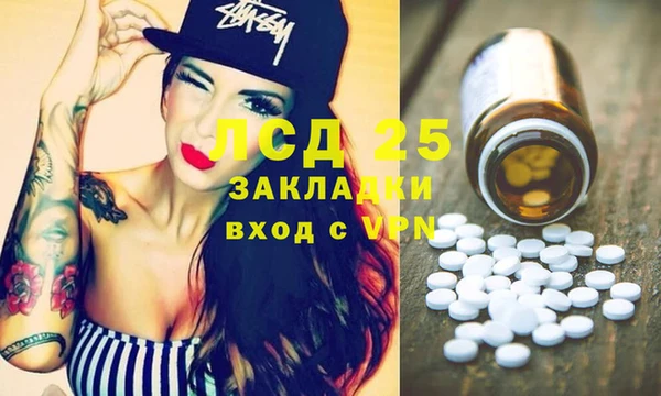 крисы Михайловск