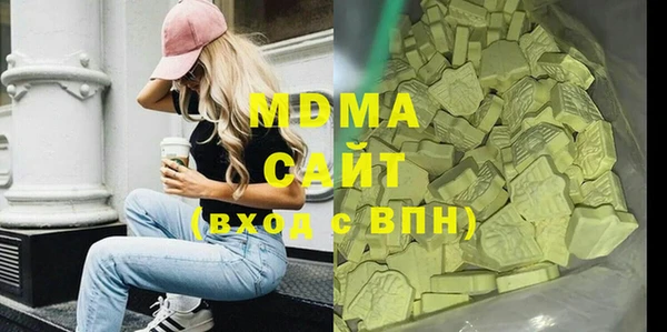 шишки Надым