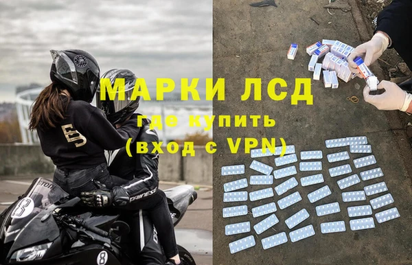 PSILOCYBIN Михайлов