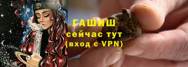 шишки Надым