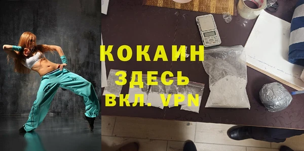 PSILOCYBIN Михайлов