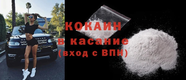 PSILOCYBIN Михайлов