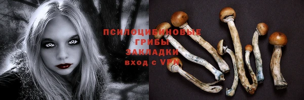 PSILOCYBIN Михайлов