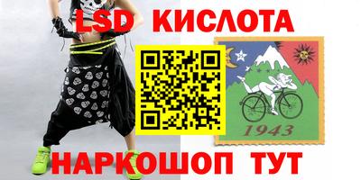 гашик Донецк