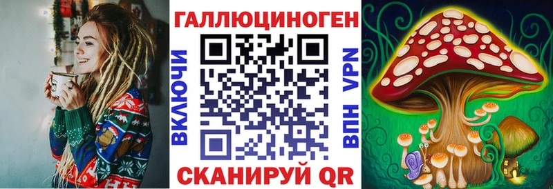 где найти   Губкинский  Псилоцибиновые грибы мухоморы 