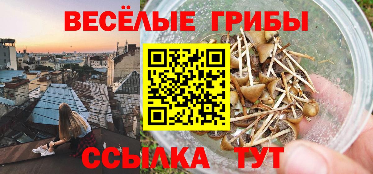 Галлюциногенные грибы Magic Shrooms Губкинский