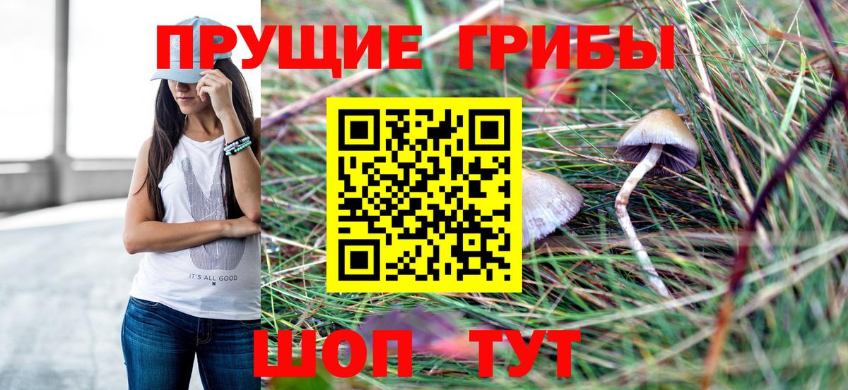 Губкинский  Галлюциногенные грибы GOLDEN TEACHER  Вход с VPN 