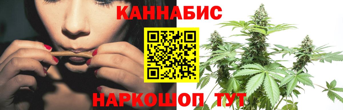 Каннабис OG Kush Губкинский